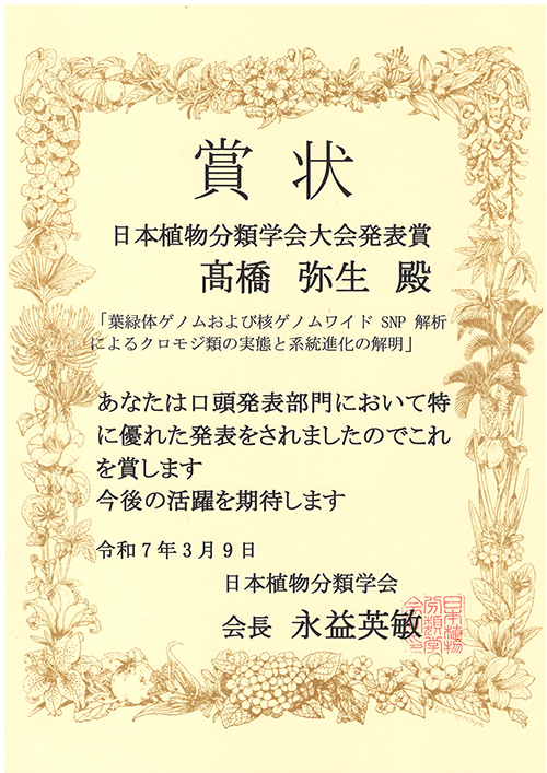 サムネイル