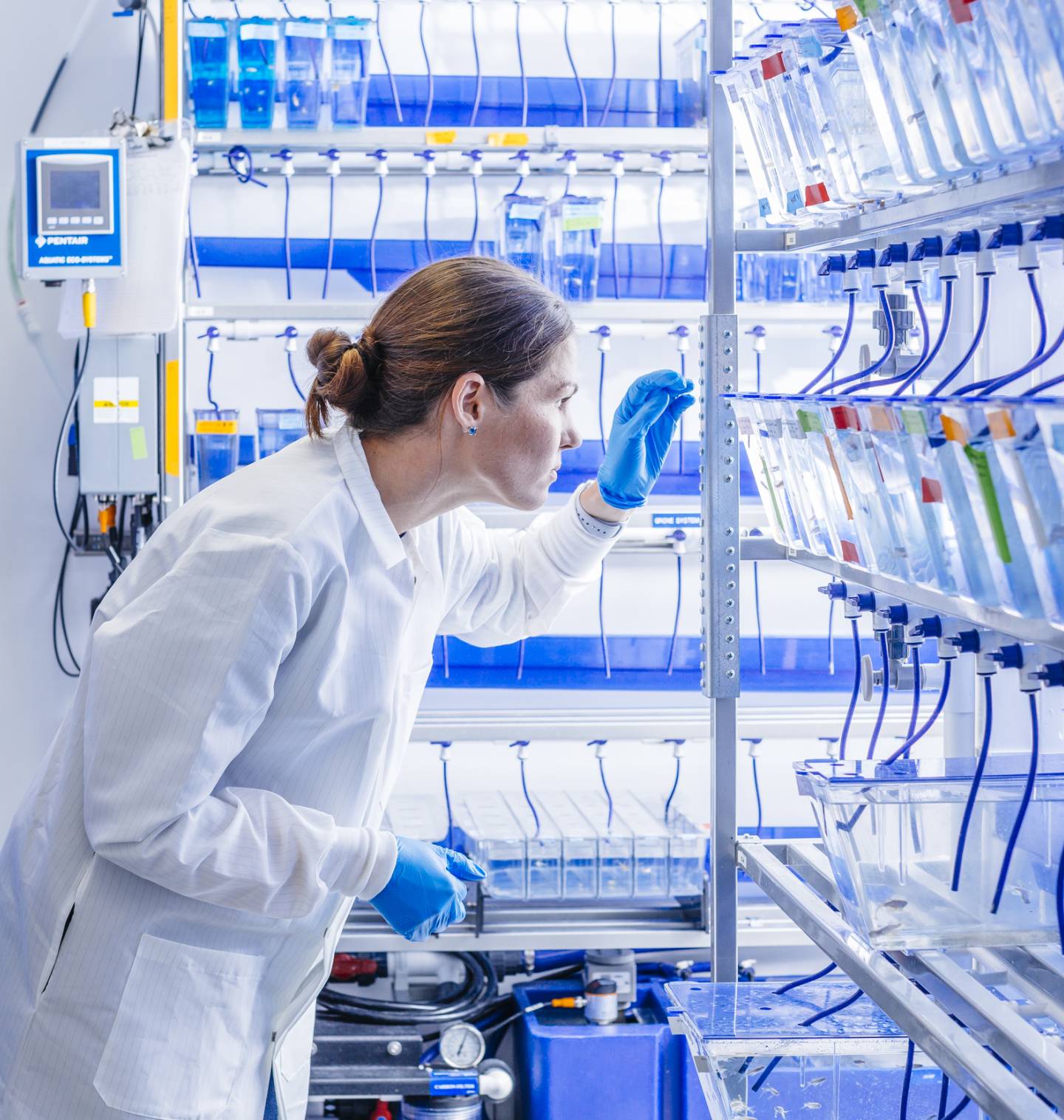 Researcher working in a lab 