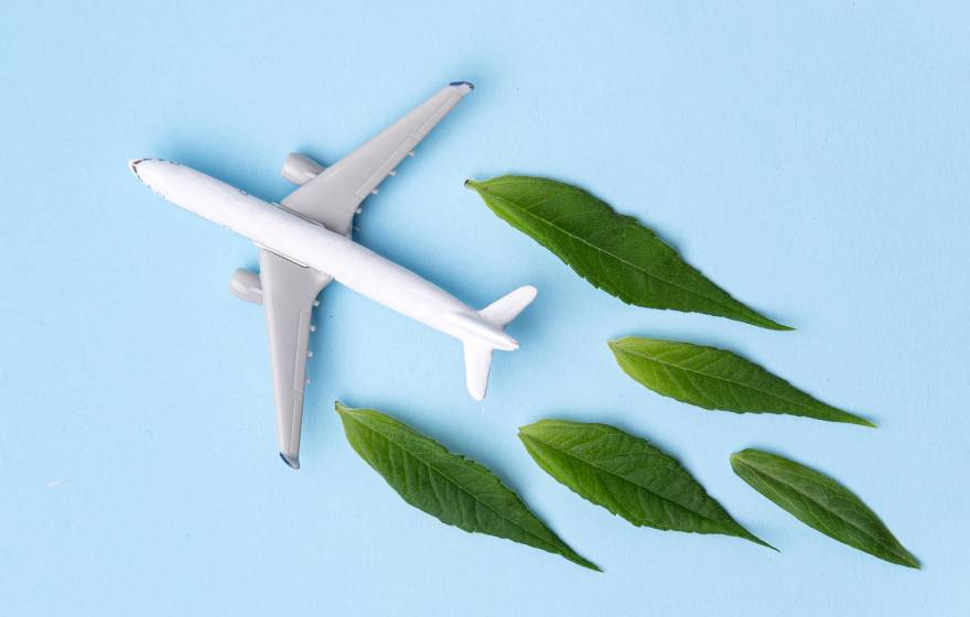 A toy plane with green leaves behind it