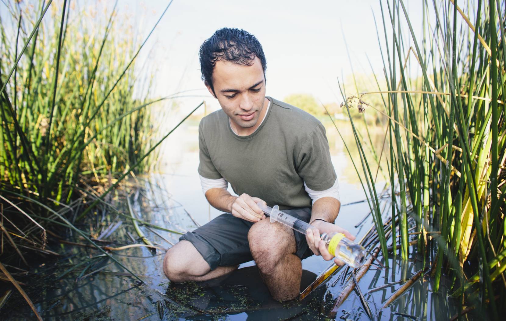 Student researcher testing water while squatting in water surrounded by tall grass.